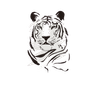 TigerSMS